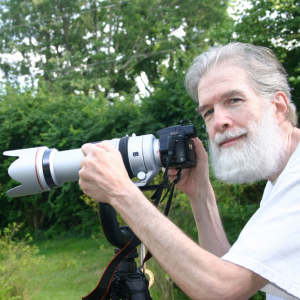 Robert Alter Reflections of Infinity